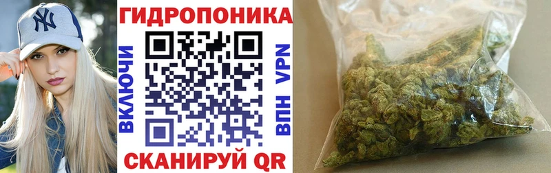 Как найти наркотики Алапаевск ГАШ гидра как войти МЕФ Конопля Галлюциногенные грибы
