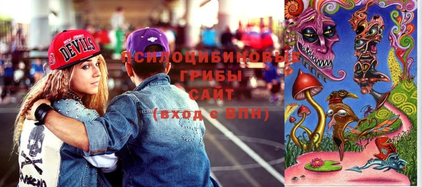 тгк Абаза