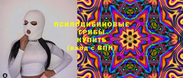 тгк Абаза