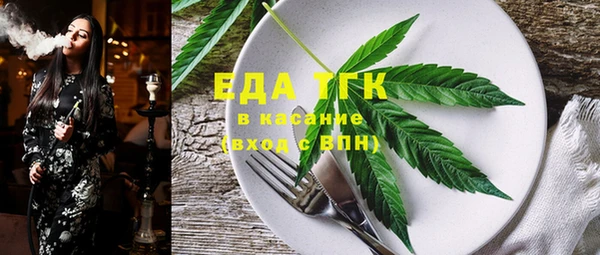 индика Абинск