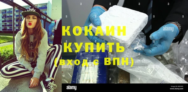 индика Абинск