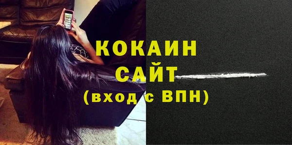 тгк Абаза