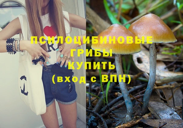 индика Абинск