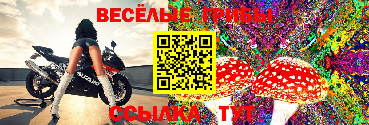 Псилоцибиновые грибы MAGIC MUSHROOMS  Вход с VPN  Алапаевск  Галлюциногенные грибы MAGIC MUSHROOMS 